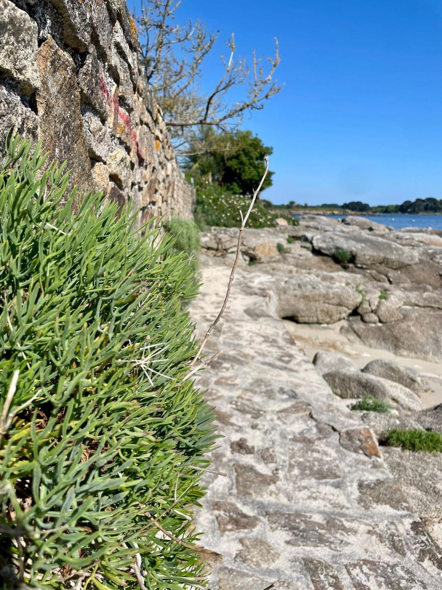 2 Maisons De Vacances Sittelles Lodge Concarneau Exterior photo